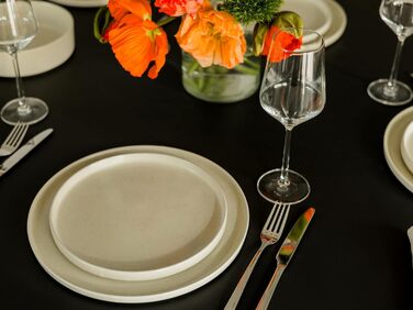 Igunga Stoneware Dinnerware Set - 12 Piece Set for 4 | Reactive Glaze Beige Tableware - Handcrafted Premium Quality