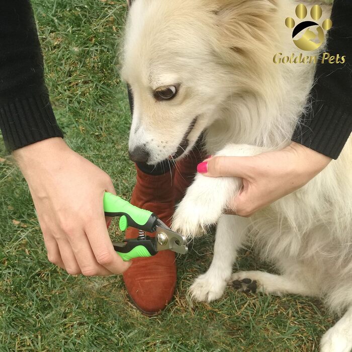 Ножиці для обрізання кігтів Golden Pets Profi Krallenschere + пилка для кігтів з унікальним кутом 45° та захистом