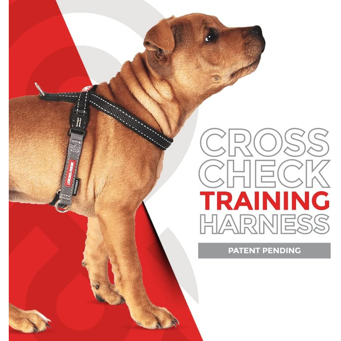 EzyDog Anti-Pull Harness for Dogs - Crosscheck Dog Harness for Small, Medium and Large Dogs, Dog Training Accessories, Reflective, Adjustable Sizes (XS, Red)