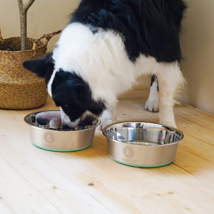 Набір мисок для собак LumoLeaf, нержавіюча сталь, великі, 2 x 3000 мл, з протиковзким силіконовим дном, для великих і середніх собак, миска для їжі та води, придатна для миття в посудомийній машині (подвійний набір)