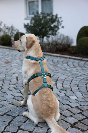 Нашийник-захист для собак Kerbl Pet Panikgeschirr, 38-52 см, 20 мм, для тривожних собак, регульований, Petrol