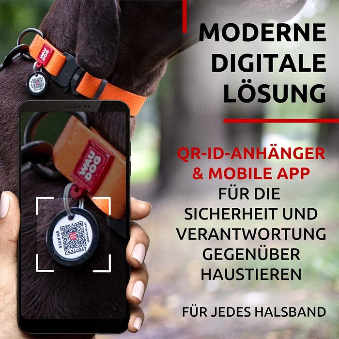 Водонепроникний нашийник для собак WAUDOG: великі, середні та малі породи. Регульований, металевий замок, 31-49 см, 25 мм ширина