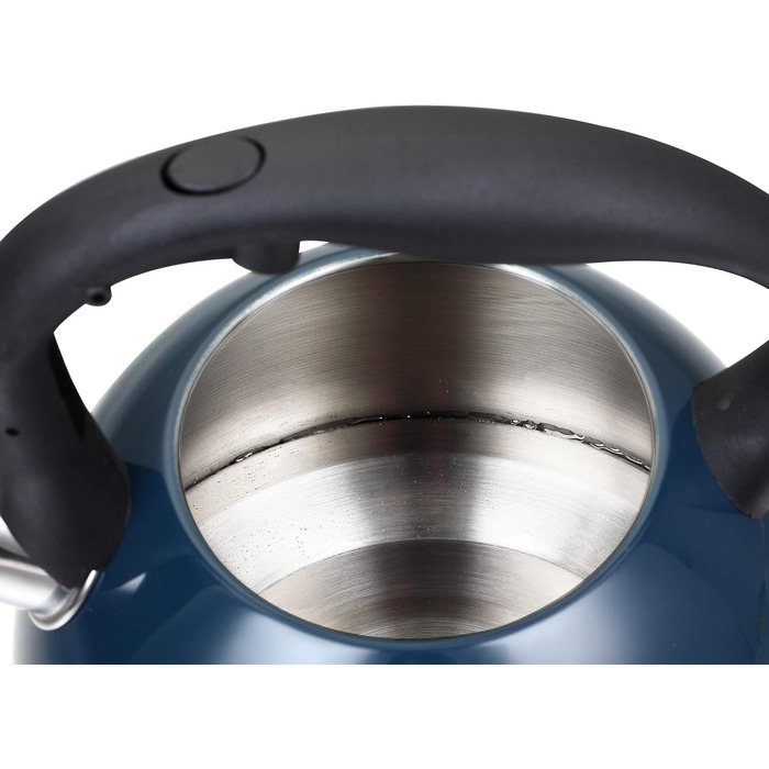 Чайник-свисток 2,5 л з нержавіючої сталі для індукції, газу, з емальованим покриттям (блакитний)