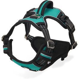 колір: турецька