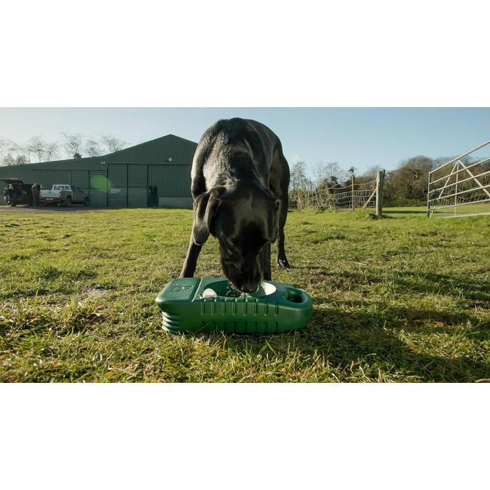 Набір для собак: годівниця та пляшка для води 4 л - портативні, зі зручним ручним захватом, стабільний диспенсер для води, компактний аксесуар для кемпінгу та подорожей з собакою