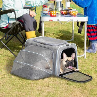 Транспортна сумка для кота Petsfit, зелена, S, двостороння (сіро-блакитна), розширювана, з підстилкою з флісу