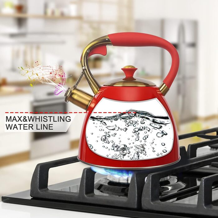 Чайник для плити Teekessel 2.9 л з нержавіючої сталі - червоний, для подорожей