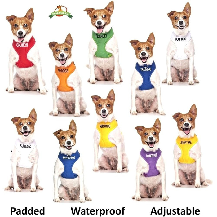 Нашийник для собак Nervous Give Me Space, жовтий, кодований кольором, S-M, L-XL, запобігає нещасним випадкам, попереджає інших, L-XL