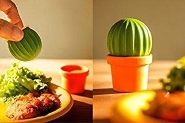 Qualy Design Studio Cactus Salt and Pepper Shakers in one. A great decorative and practical accessory for the kitchen and dining room. Cool salt shaker for tequila.