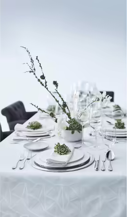 WMF Premiere Cutlery Set, 12 Place Settings, 66 Pieces, 60 Pieces with Serving Utensils, Hollow-Ground Knives, Cromargan protect polished, scratch-resistant, dishwasher-safe, 66-piece Single
