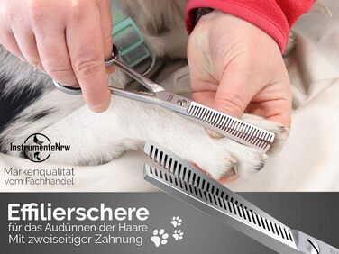 Професійна ножиця для грумінгу собак та котів Solingen з двостороннім зубчастим лезом, Made in Germany, 15,24 см