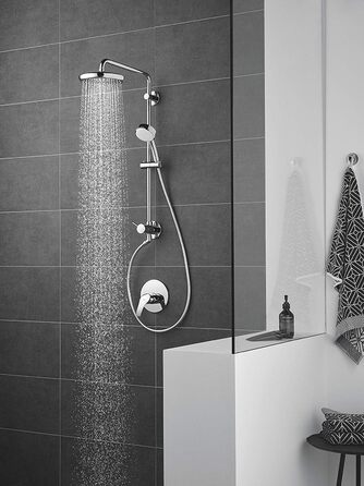 Grohe Tempesta 210 Showerhead, 26408000 (Rain, contemporary)