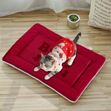 Персоналізована килимок для собак, килимок для лежанки, миється, 69x52 см, червоний