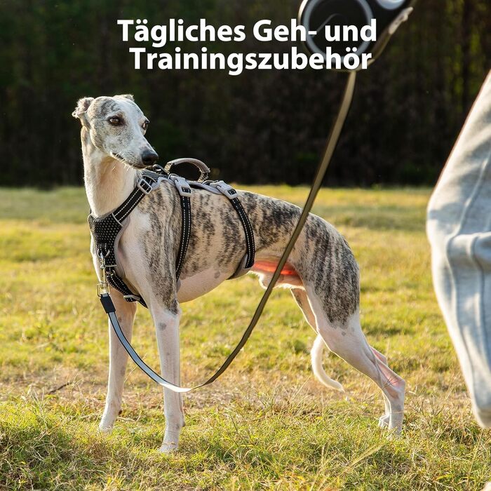 Шлейка безпеки для собак Huntboo, анти-пробіжна, світловідбиваюча з м'якою ручкою, регульована жилетка для маленьких собак, для прогулянок та тренувань (S), чорна, X-Small (упаковка з 1)