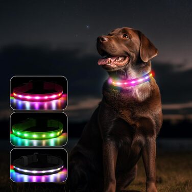 Світлодіодне нашийник для собак Feycig - USB, водонепроникний, 3 режими, регульований, для малих, середніх та великих собак (Рожевий, L(48-60см))