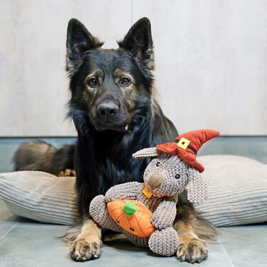 4L Textil ZOE - М'яке собаче ліжко з тканини Corduroy, 60x50 см, бежеве (смужки)