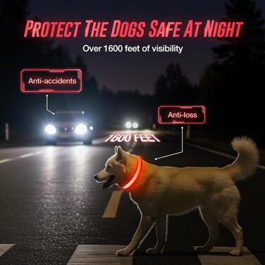 Світлодіодне нашийник для собак Jewyow 7 в 1, перезаряджається USB-C, водонепроникний, червоний (M)