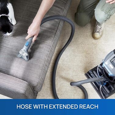 Vacmaster Теперіальний очищувач килимів | Професійні результати | Видаляє бруд та плями | Потужний 750W мотор | Об'єм бака 3,2L | Для килимів, сходи та м'яких меблів