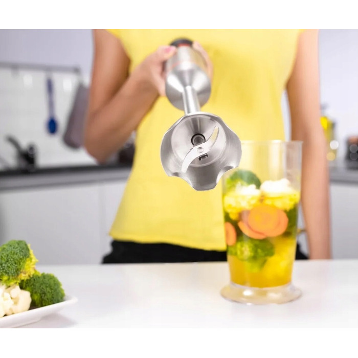 Погружний блендер Zelmer ZHB4650, 1400 Вт, сріблястий/сірий