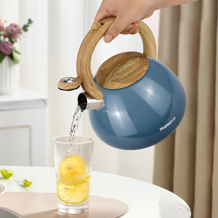 Чайник заварний з нержавіючої сталі Teekessel для плити та індукції, 2.5 л (світло-зелений)