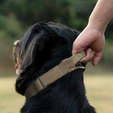 Преміум нашийник для собак TSPRO з ручкою, тактичний, важкий, швидкозастібається, для собак середніх та великих порід (L), Camo Rosa
