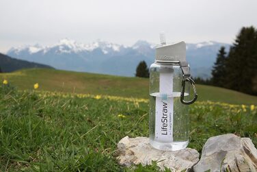 LifeStraw Go 650ml (1000ml, Grey)