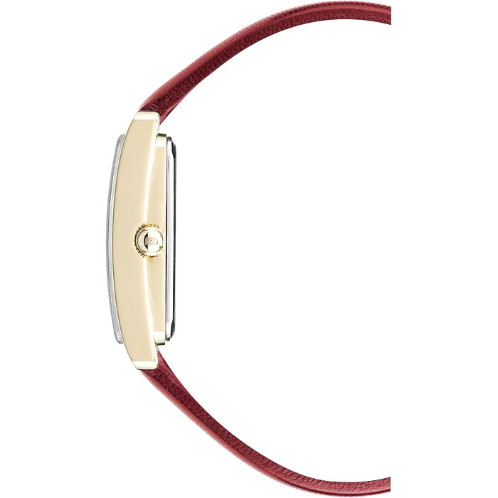 Жіночий шкіряний годинник Anne Klein (темно-червоний/золотий)