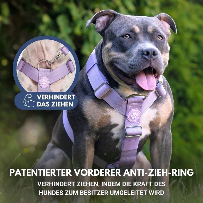 Шлейка для собак Spark Paws No Pull для великих порід, фіолетовий колір, розмір L (16-25 кг), надійна та зручна