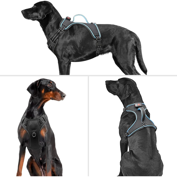 Нашийник для собак з екошкіри, перероблений, для великих і середніх собак, зелений (M, блакитний)