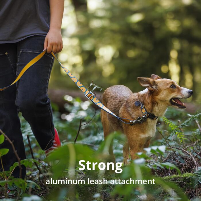 Нашийник для собак RUFFWEAR Crag, середній, з алюмінієвим кільцем V, регульований, 36-51 см, колір Midnight Wave