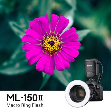 Godox ML-150 II – кільцева світлодіодна лампа для макрозйомки