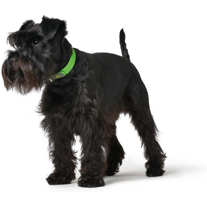 Нашийник для собак HUNTER CONVENIENCE, пластик, зелений (40 см)