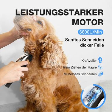 Професійна машинка для стрижки собак Leise - для густого та кучерявого хутра, з нержавіючої сталі