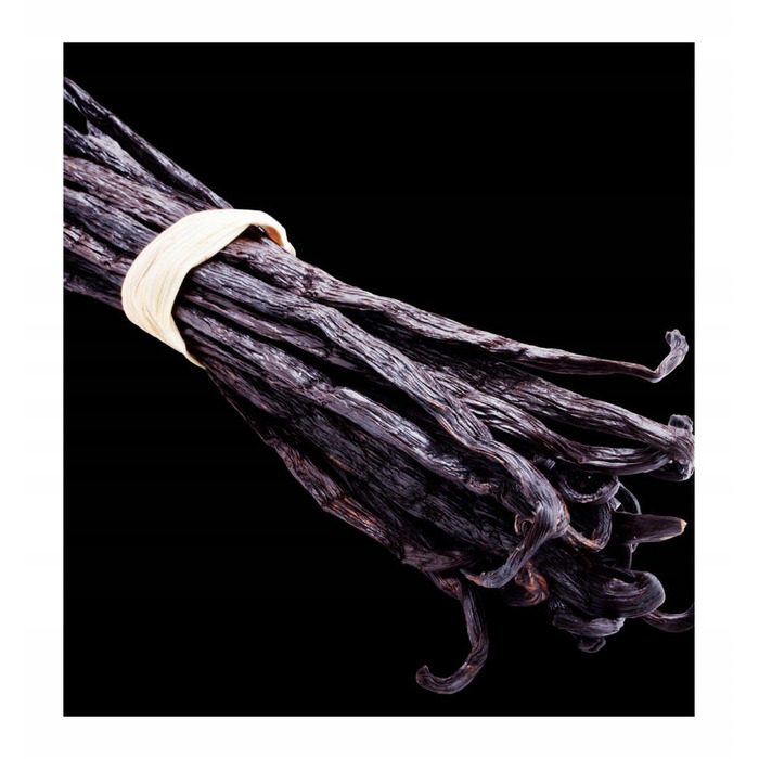 Жіночі парфуми Yodeyma Harpina, 100 мл