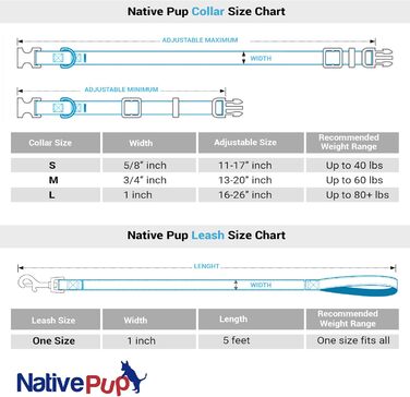 Нашийник для собак Native Pup з прапором ЛГБТК+, гордість, аксесуари для парадів, рівність, подарунок, аксесуари для підтримки ЛГБТК+ (малий)