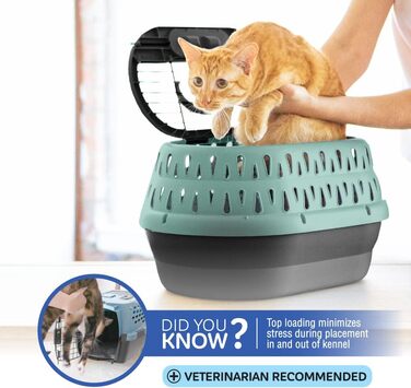 Клітка для собак та котів Petmate, пластикова, одностулкова, з фронтальним доступом, розмір L (48 x 32 x 27 см), колір зелений