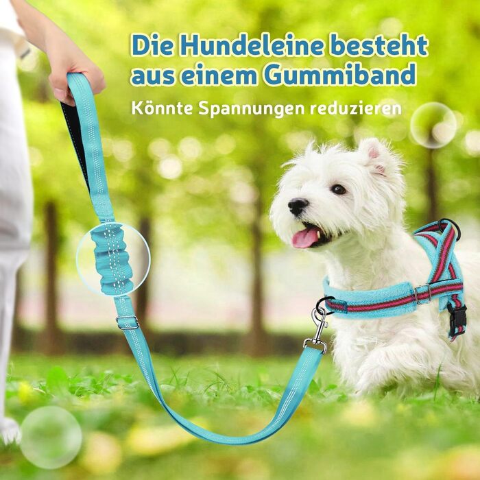 Шлейка для собак SlowTon з повідком, анти-тягуча, регульована, світловідбиваюча, для цуценят, собак середніх та малих порід, зелена (XS, світло-зелена)