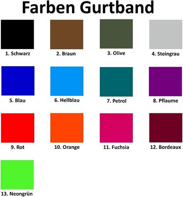 Ошийник для собак з персоналізацією - XS-XXL - індивідуальне замовлення - вишивка імені та номеру телефону - широкий та регульований