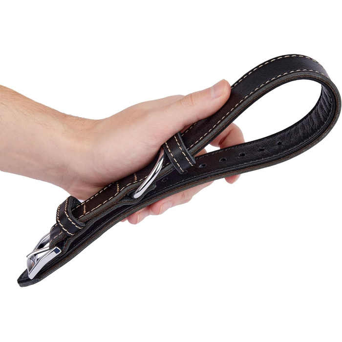 Нашийник для собак з м'якої шкіри, міцний та довговічний. Підходить для собак маленьких, середніх та великих порід. Матеріал: шкіра. Розміри: S (28-36 см), M (33-42 см). Колір: чорний