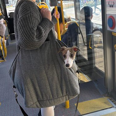 Сумка-переноска для собак та котів Petsen 3в1 – автокрісло, переноска, сумка – ручної роботи в ЄС – з подушкою (сіра)