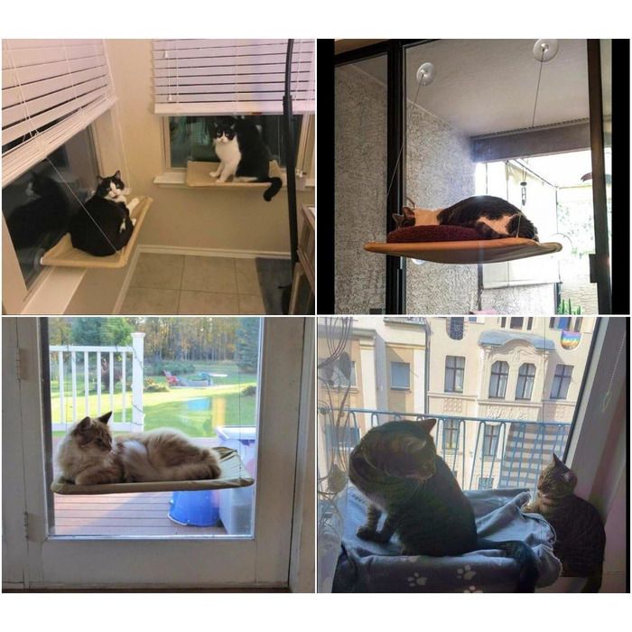 Гамак для котів JZK з підвісним місцем біля вікна + ковдра, ліжко для сонячних ванн, м'яке ліжко для котів, собак, кроликів та інших дрібних тварин