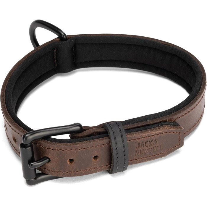 Нашийник для собак Джек Рассел з натуральної шкіри та неопрену – м'який та міцний нашийник для маленьких та великих собак – преміум нашийник Craig (L) L (42.0-51.0 см)