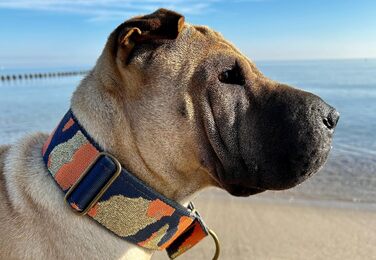 Нашийник для собак Martingale з м'якою підкладкою, 5 см, тренувальний, регульований (до 52 см обхват шиї, 58 см обхват голови), стопор 6 см, сталеві деталі