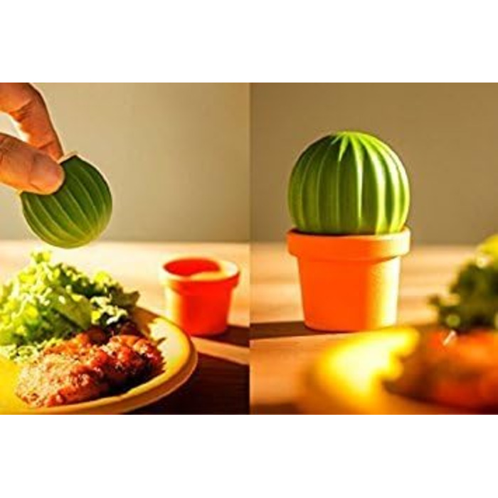 Qualy Design Studio Cactus Salt and Pepper Shakers in one. A great decorative and practical accessory for the kitchen and dining room. Cool salt shaker for tequila.