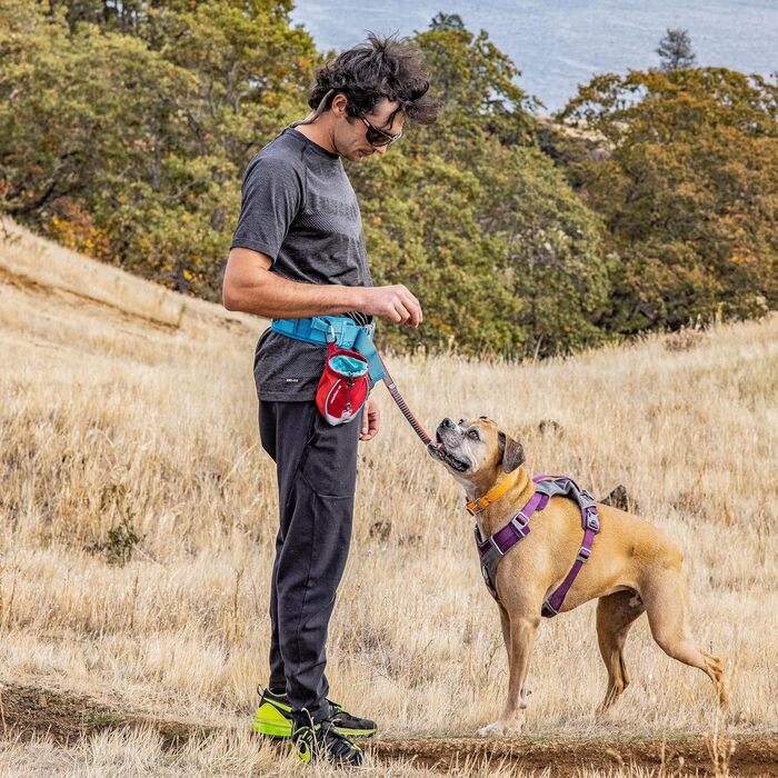 Kurgo Go Stuff-It - Фурнітура для ласощів для собак, 11 см, Червоний