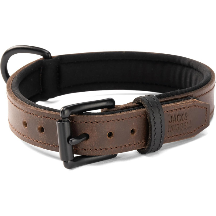 Нашийник для собак Джек Рассел з натуральної шкіри та неопрену – м'який та міцний нашийник для маленьких та великих собак – преміум нашийник Craig (L) L (42.0-51.0 см)