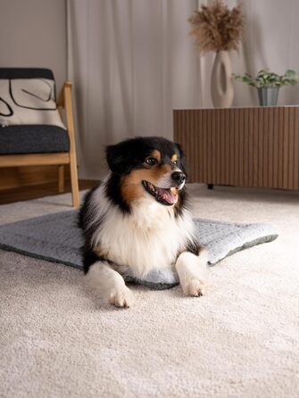 TrendPet Лежанка для собак і котів, двостороння, з підкладкою, сіра (50x35 см)