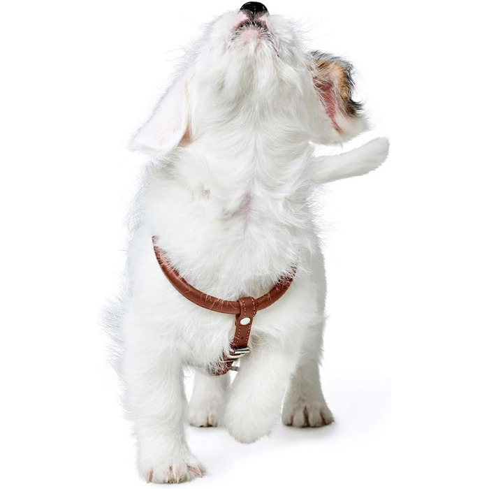 Нашийник для собак HUNTER Round & Soft Canadian UP, колір: Cognac, м'яка, еластична шкіра, прошитий по колу, щадний до хутра, екологічний, Made in Germany, розмір: S/1 S/1 cognac