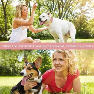 Нашийник для собак з металевою застібкою, двосторонній з іменем та номером телефону, регульований розмір, M та L (Нашийник 06)