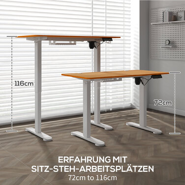 Vinsetto Height-Adjustable Standing Desk Electric 120x60cm with Anti-Collision Cable Box and Hooks for Hanging from Chipboard Natural Wood